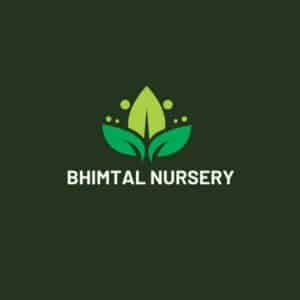 Bhimtal Nursery