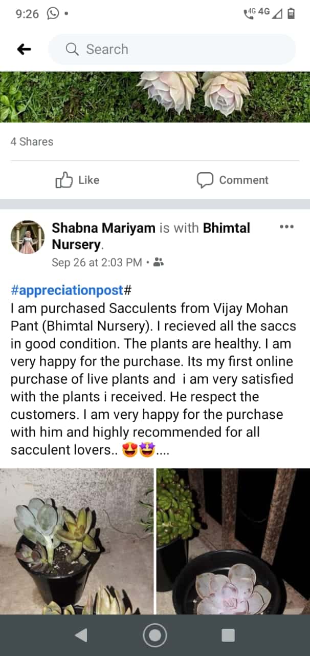 Bhimtal Nursery Customer Reviews