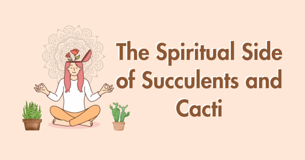 The Spiritual Side of Succulents and Cacti